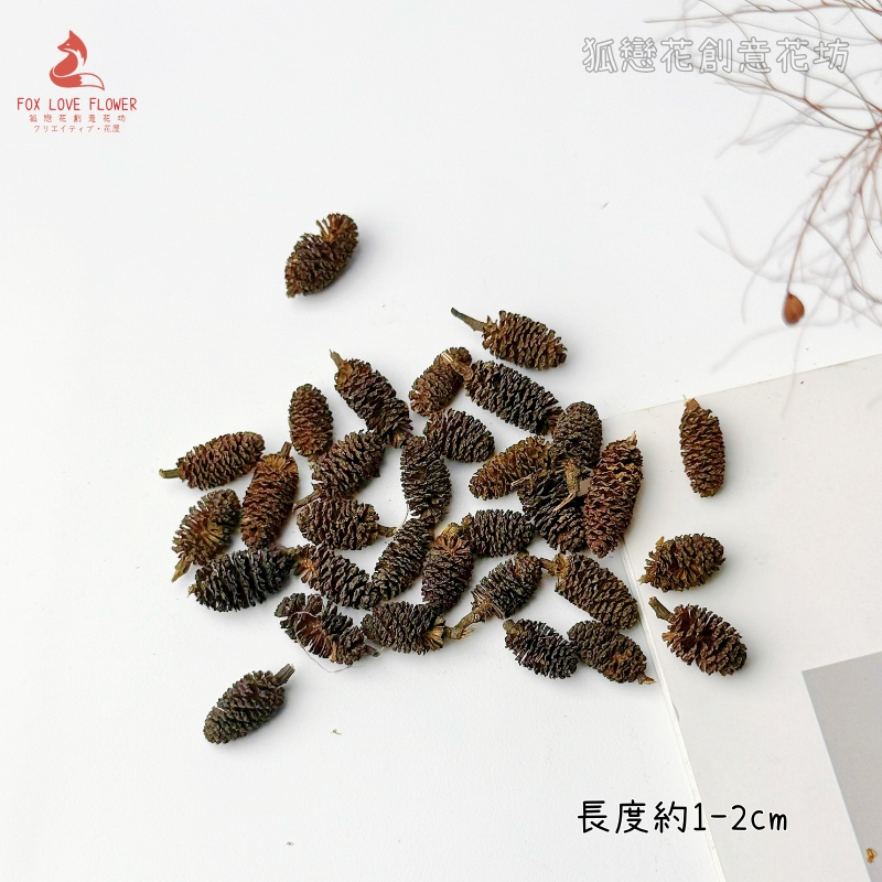 ❰原色❱小水楊子(5個),🦊~賣場商品眾多，歡迎參觀選購~🦊
