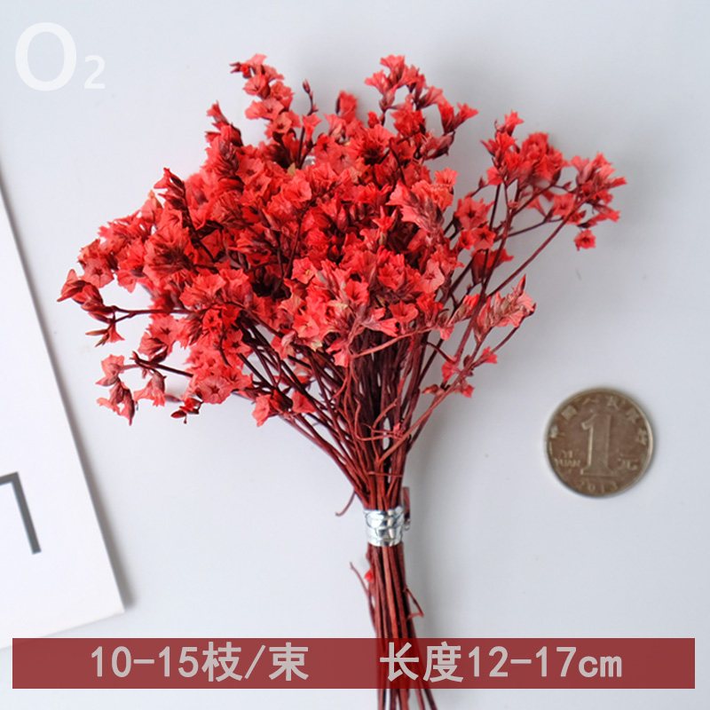 ❰紅色❱ 永生水晶草（10枝）,🦊~賣場商品眾多，歡迎參觀選購~🦊