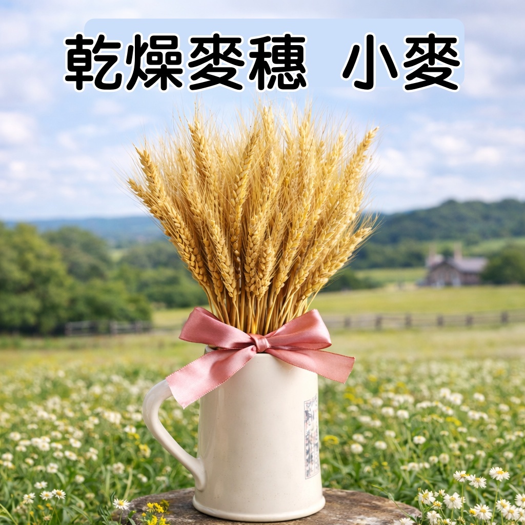 台灣現貨【乾燥麥穗40cm】天然小麥花材 多入 插瓶綁束 畢業花束拍照佈置 花藝手作材料 花藝材料 DIY