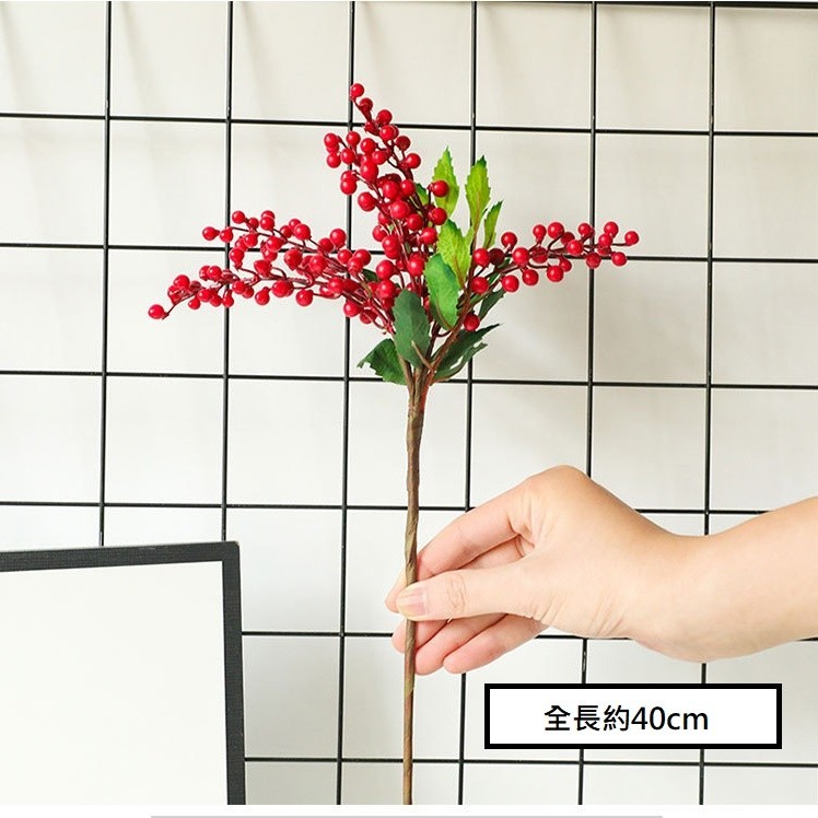 台灣現貨【聖誕插枝材料】紅果松果漿果雪松葉 藤圈花環插花佈置 聖誕樹裝飾 桌面盆栽搭配 花藝材料 花圈藤圈 聖誕佈置