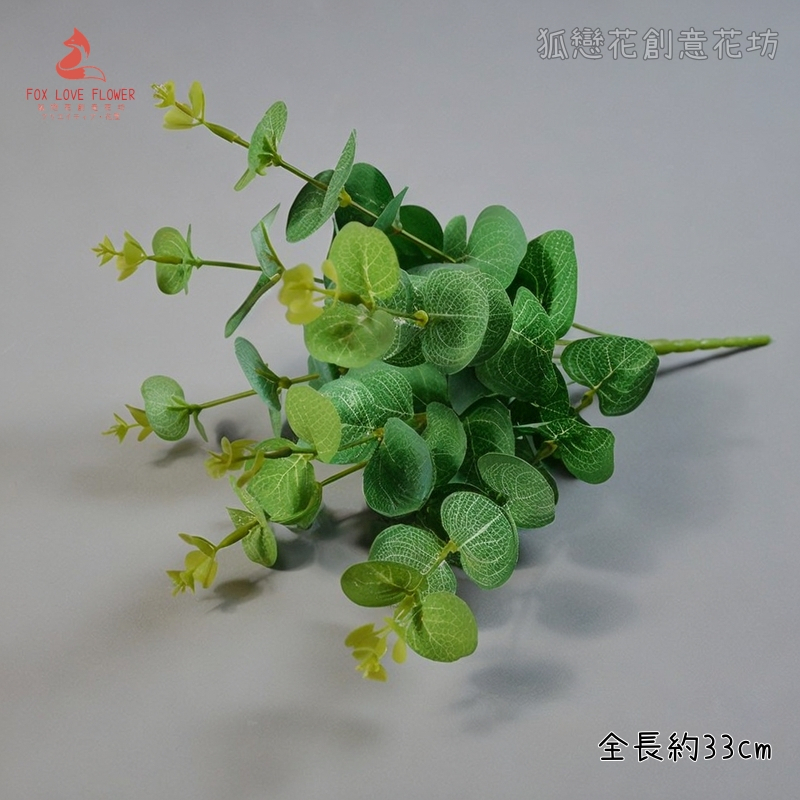 7叉絹葉小尤加利