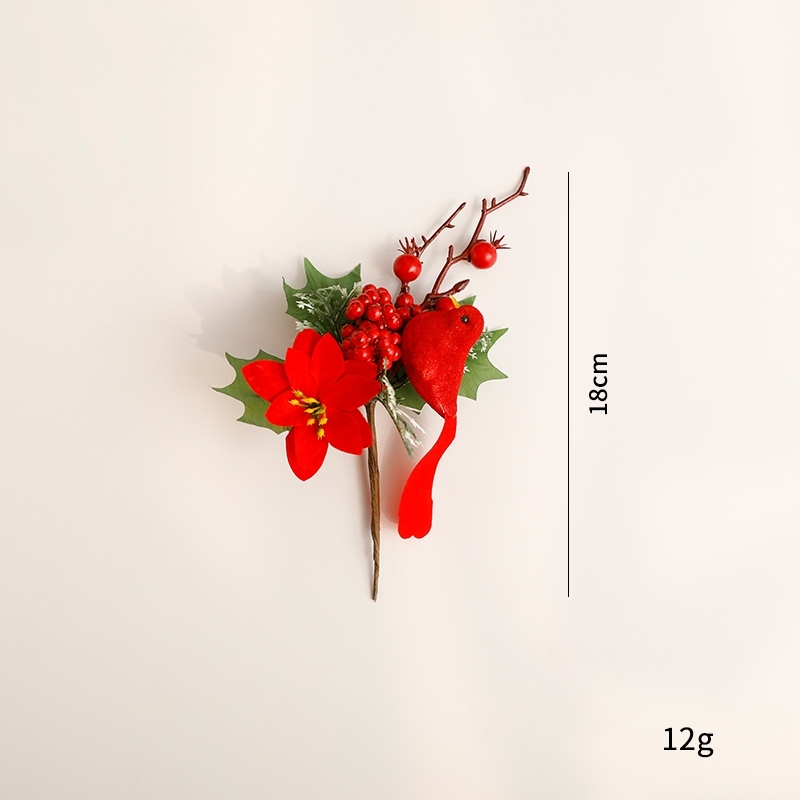 紅雀紅果聖誕花