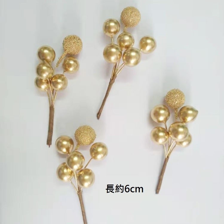 小插枝_迷你金果串(2枝),🦊~賣場商品眾多，歡迎參觀選購~🦊