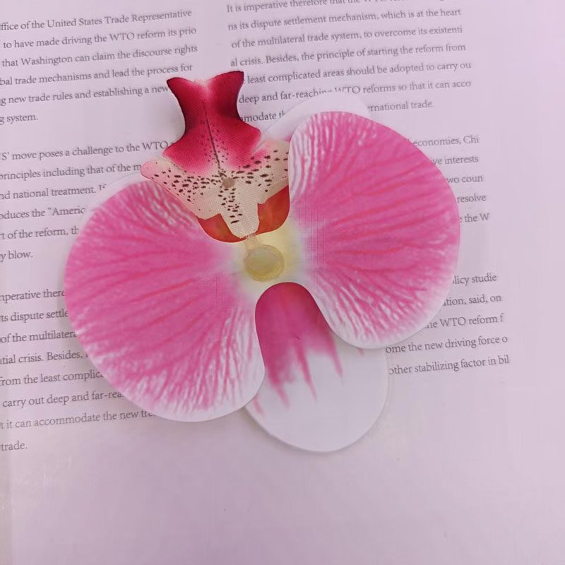 粉色蝴蝶蘭花頭,1入