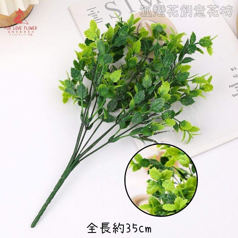7叉小葉薄荷