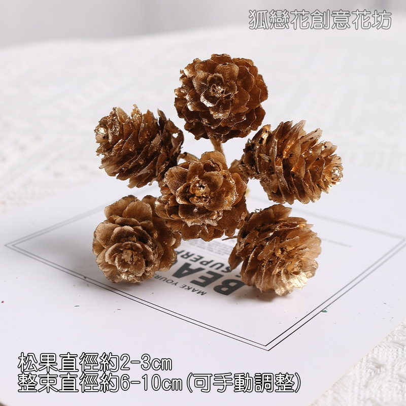 ❰金色❱落葉松果串(1束6枝)
