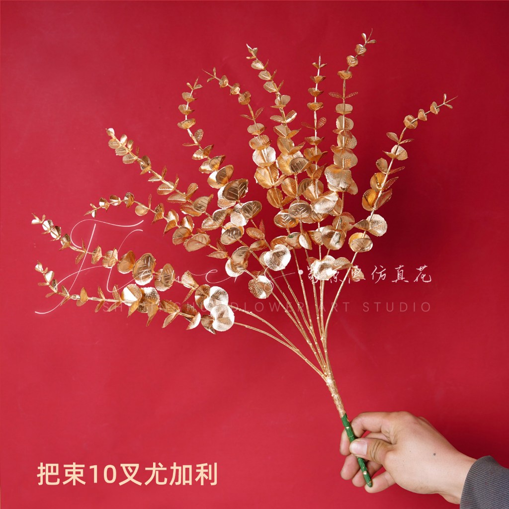 (金漆)10叉尤加利