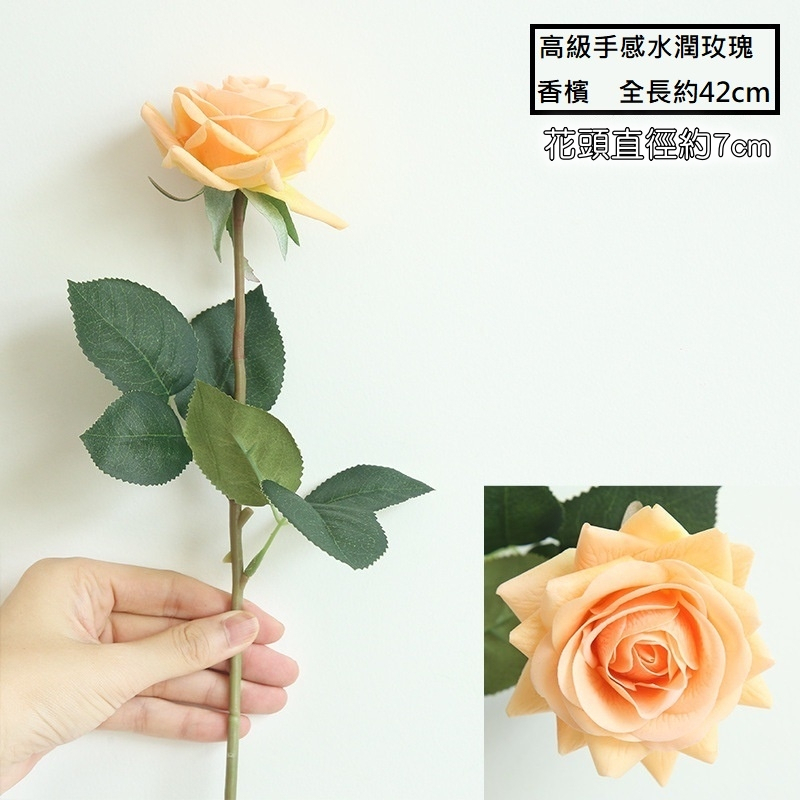 水潤角玫瑰❰香檳色❱