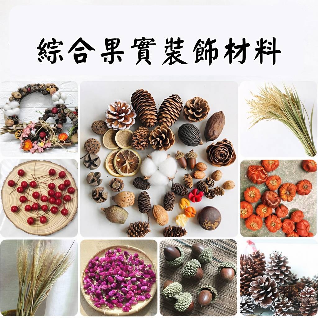 台灣現貨【乾燥果實松果花材組合】玉米八角橡實馬尾松果落葉松果 山捻素材 花圈藤圈造景 佈置擺飾 聖誕佈置 花藝材料