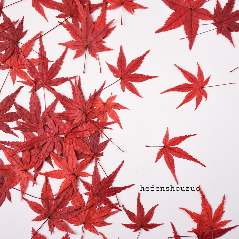 ❰酒紅❱楓葉(5片),🦊~賣場商品眾多，歡迎參觀選購~🦊
