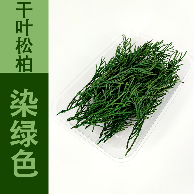 ❰綠色❱永生扁柏/側柏(20g),🦊~賣場商品眾多，歡迎參觀選購~🦊