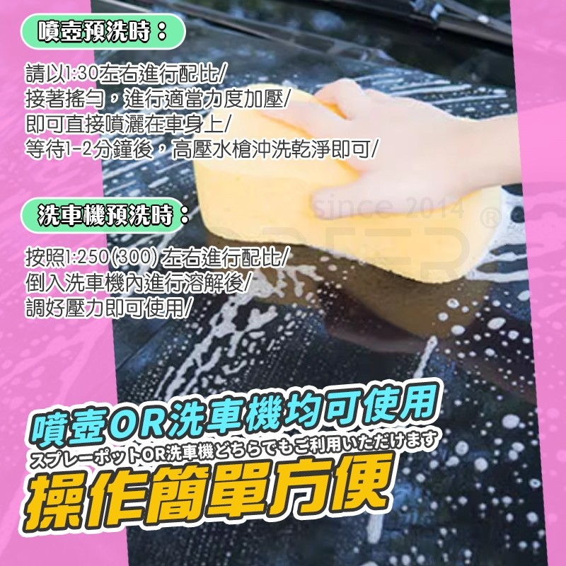 縮圖 7