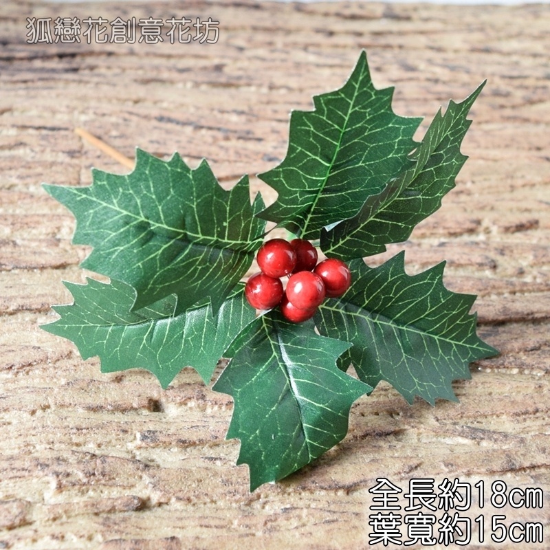 紅果聖誕葉插枝（綠葉）1 枝