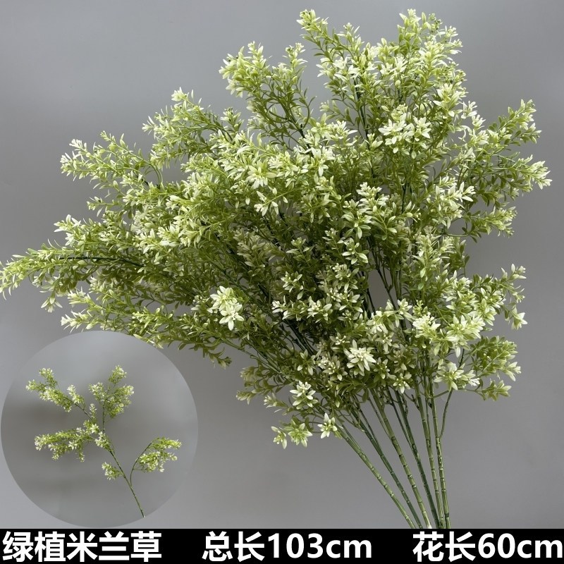 綠色 | 米蘭草 ( 1支 )