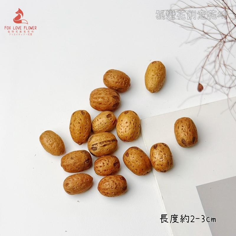 ❰深色❱菩提子/南酸棗(5顆),🦊~賣場商品眾多，歡迎參觀選購~🦊