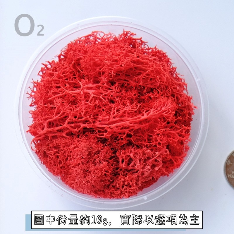 ❰大紅❱苔癬(10g),🦊~賣場商品眾多，歡迎參觀選購~🦊