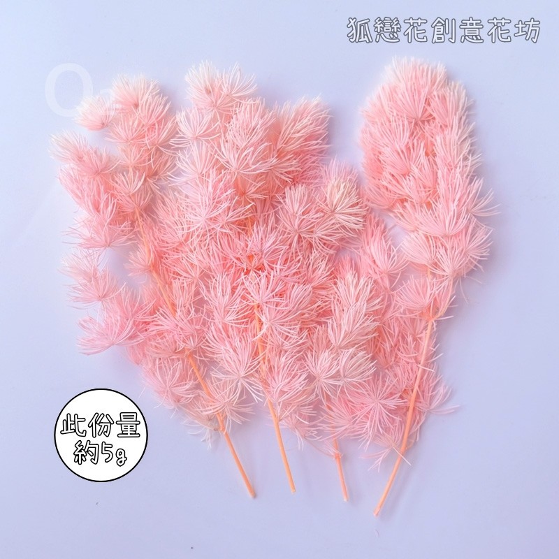 ❰淺粉❱蓬萊松(5g),🦊~賣場商品眾多，歡迎參觀選購~🦊