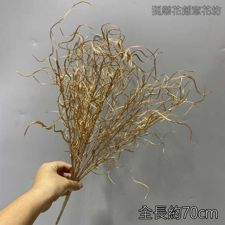 金漆｜龍鬚草（1枝）