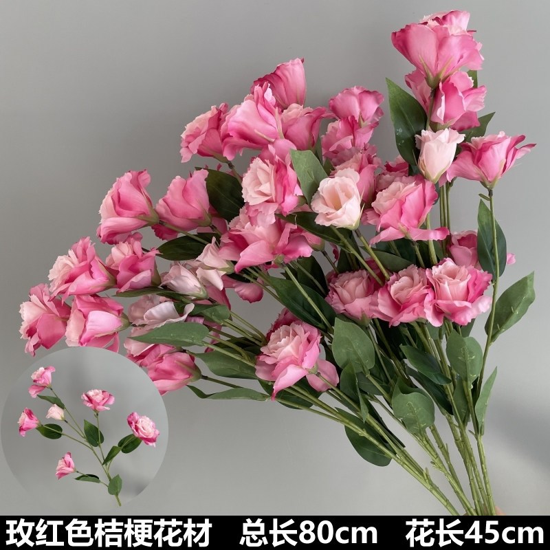 玫紅桔梗花材（80cm）