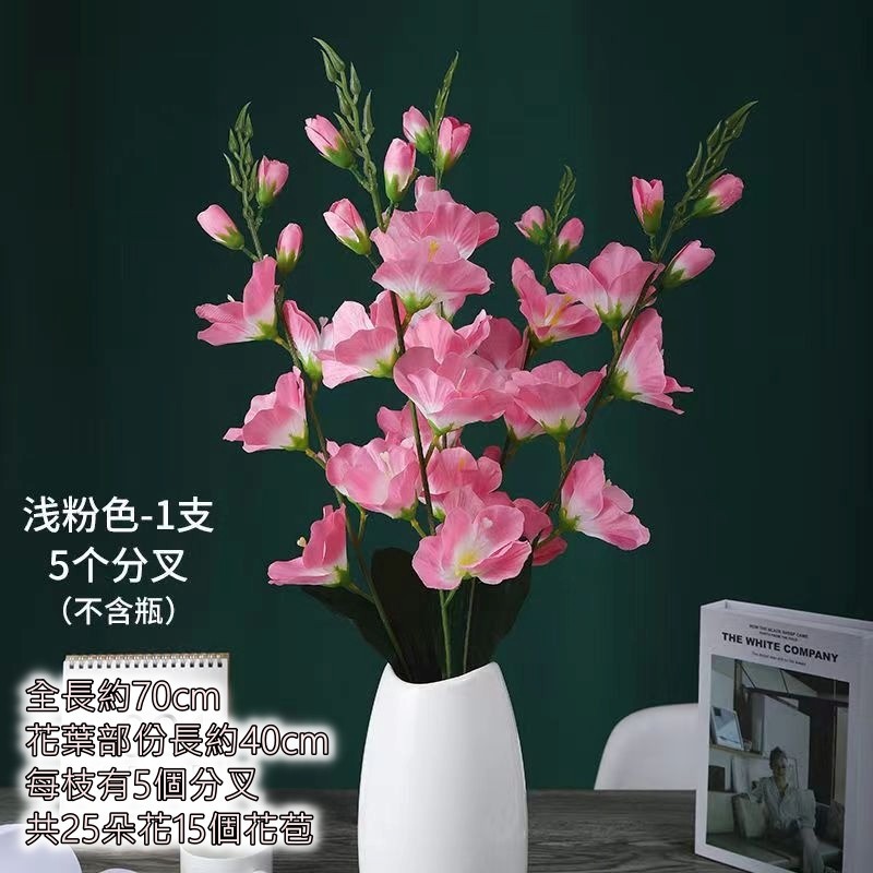 淺粉劍蘭（70cm）