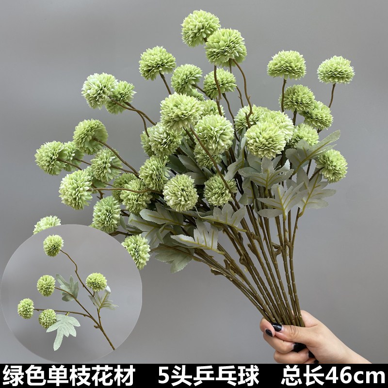 五頭乒乓菊 ( 1枝 ),🦊~賣場商品眾多，歡迎參觀選購~🦊