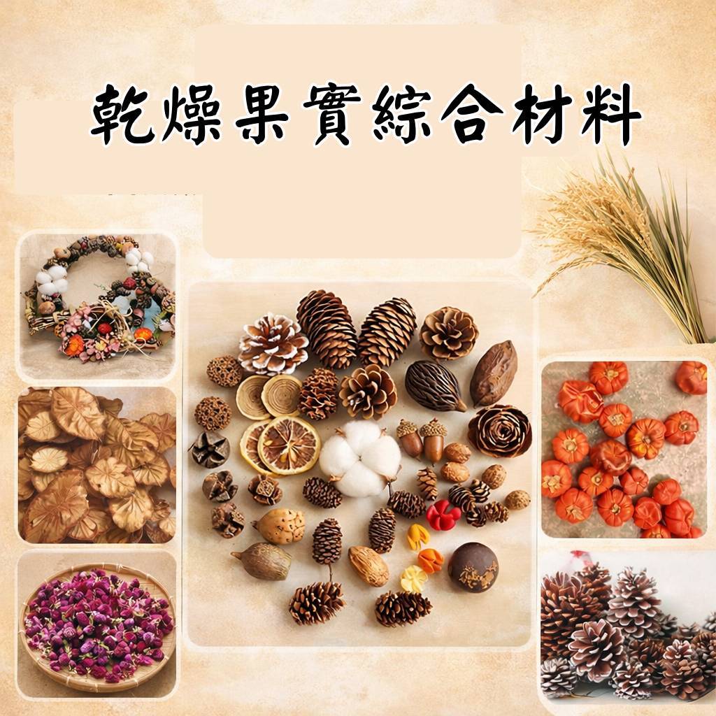 台灣現貨【乾燥果實松果素材】人造果實尤加利南瓜棉花鈴鐺 微縮造景花圈藤圈 松果塔手作 多款選擇 花藝材料 DIY 聖誕佈
