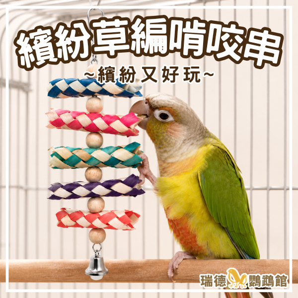 瑞德【玩具系列】繽紛草編啃咬串 鸚鵡啃咬玩具 破壞 撕咬 棕櫚葉 原木珠 鈴鐺 虎皮 玄鳳 小太陽