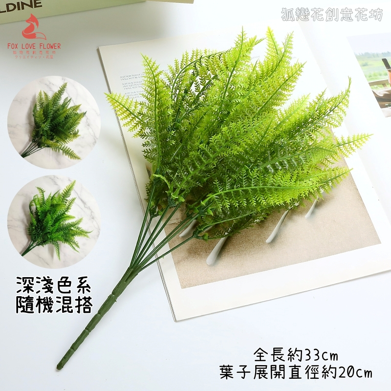7叉小蕨草(隨機搭配)