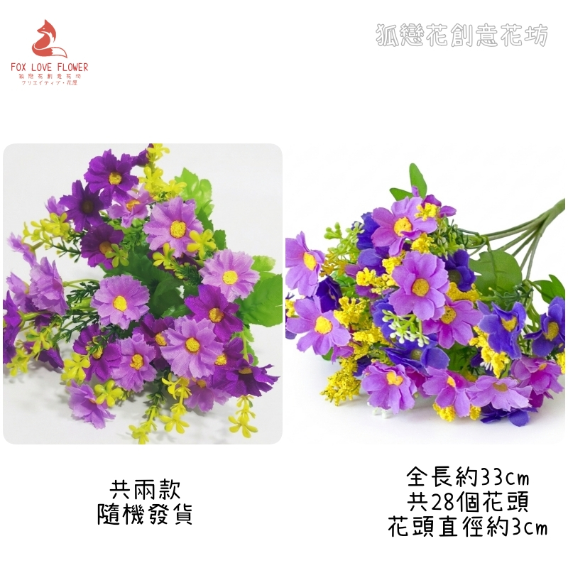 28頭小雛菊(雙色紫)