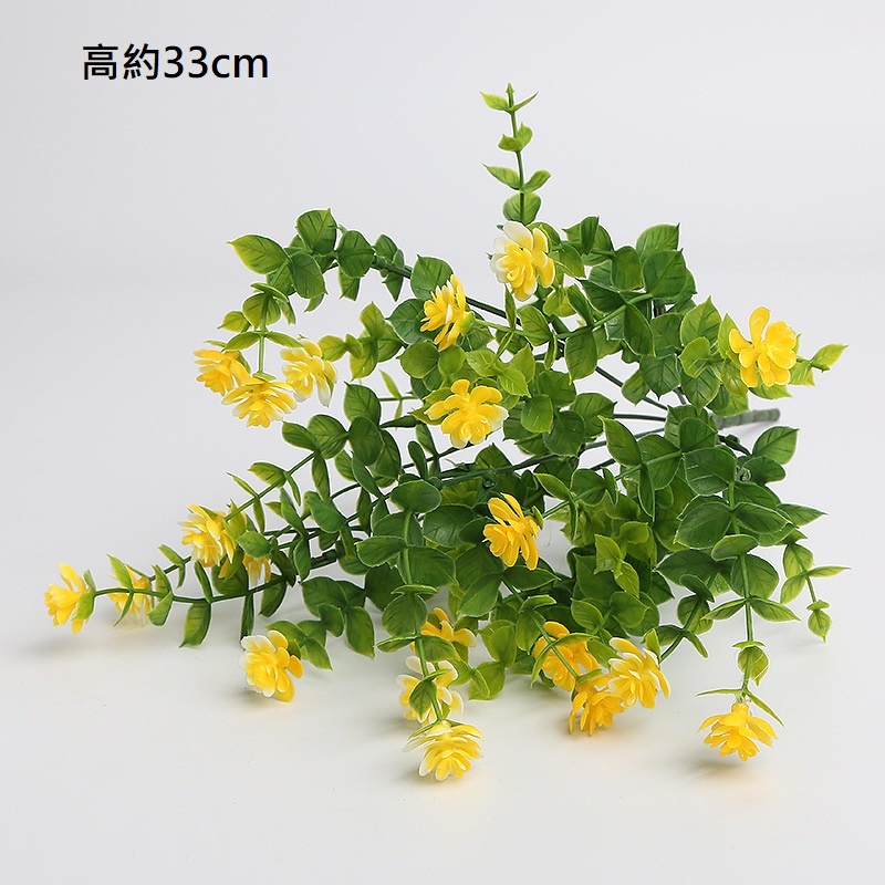 7叉帶花小尤加利(黃色)