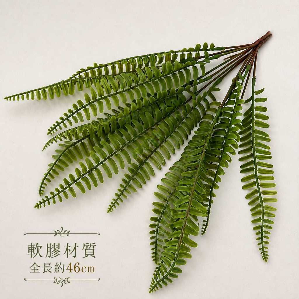 46cm13叉軟膠腎蕨草