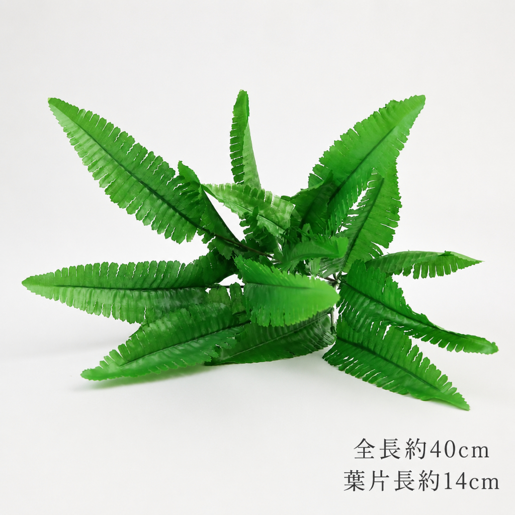 14葉❰小❱絹葉波士頓蕨草(2枝)