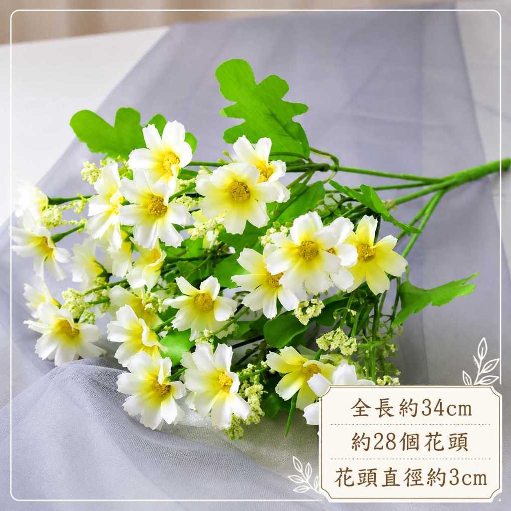 28頭小雛菊(白)