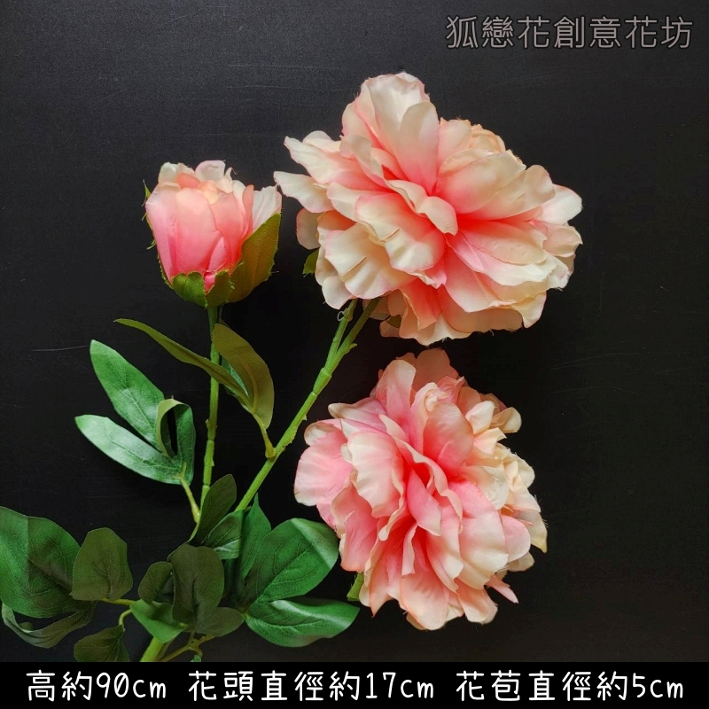 3頭若雲牡丹❰香檳粉❱