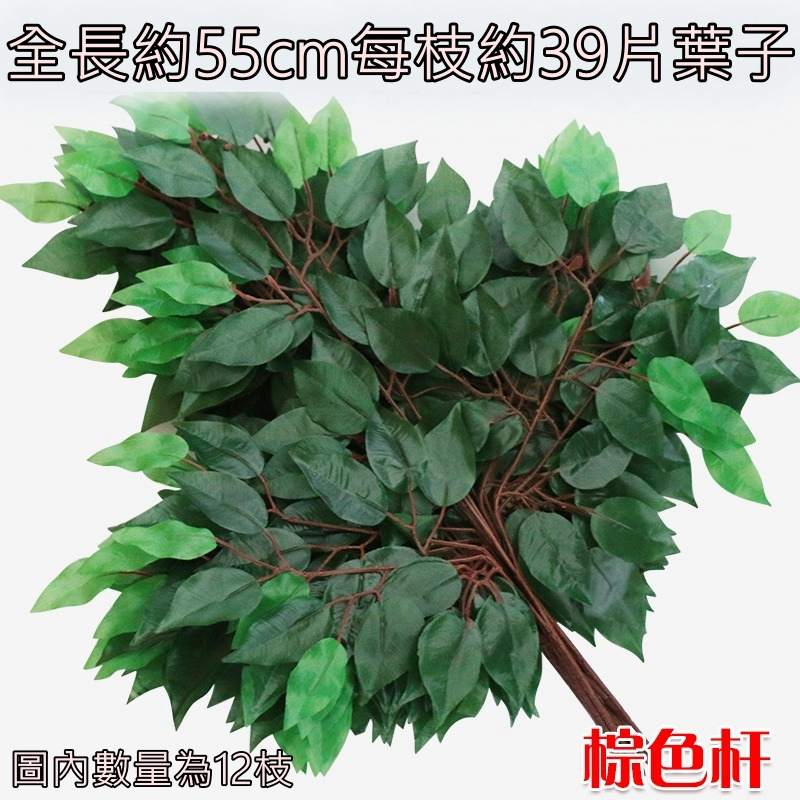 (棕桿)桿榕樹葉(買10送2)