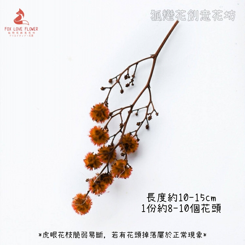 ❰橘色❱虎眼枝(1份約8-10顆花頭),🦊~賣場商品眾多，歡迎參觀選購~🦊