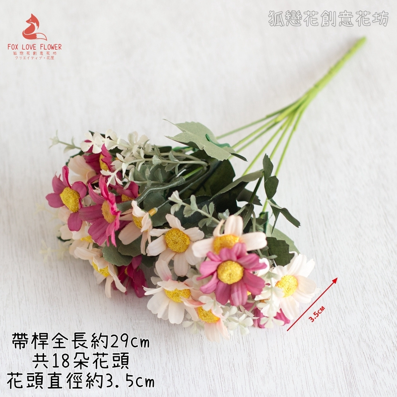 小雛菊（油畫玫紅）