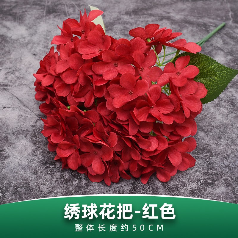 五叉大葉繡球花（紅色）