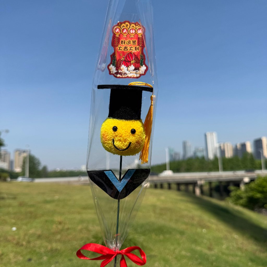 台灣現貨【畢業花套花束】大吉大利心想事成金榜題名祝福花禮 畢業季送同學老師 拍照打卡 隨機色紀念花束