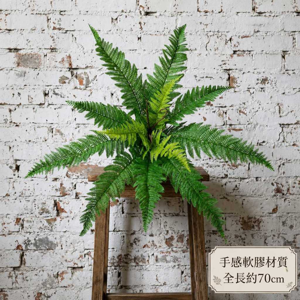 台灣現貨【仿真蕨草葉材】70至110cm仿真蕨草, 仿真蕨葉, 大蕨草, 大腎蕨, 波斯頓蕨, 軟膠蕨草, 70cm仿真