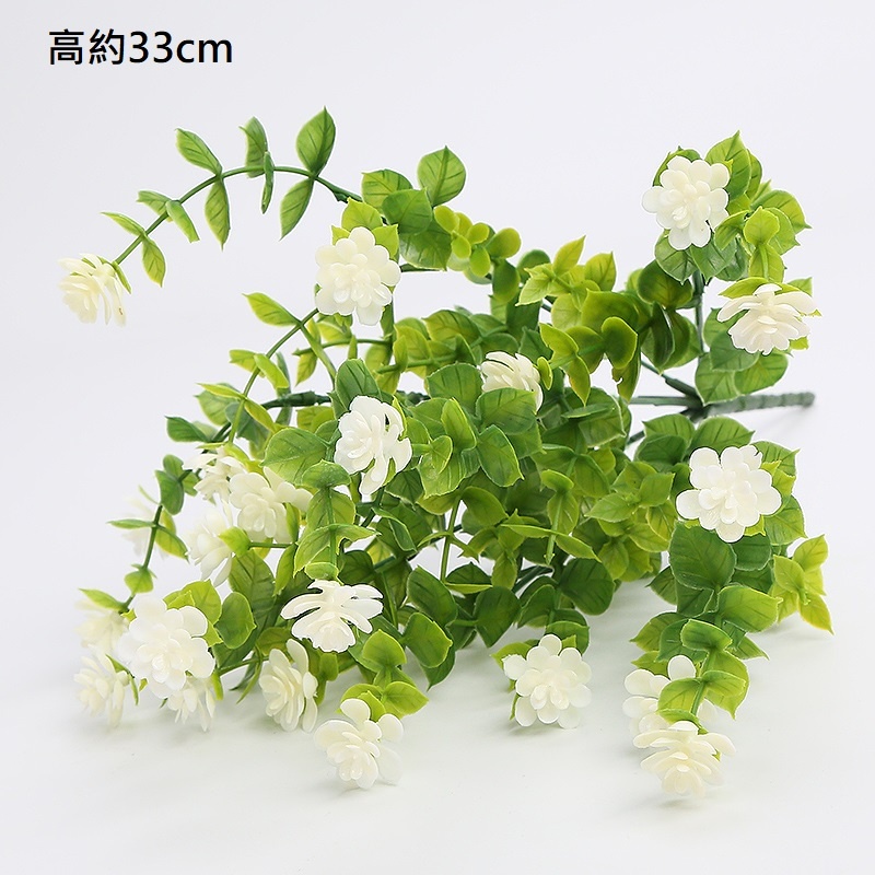 7叉帶花小尤加利(白色)