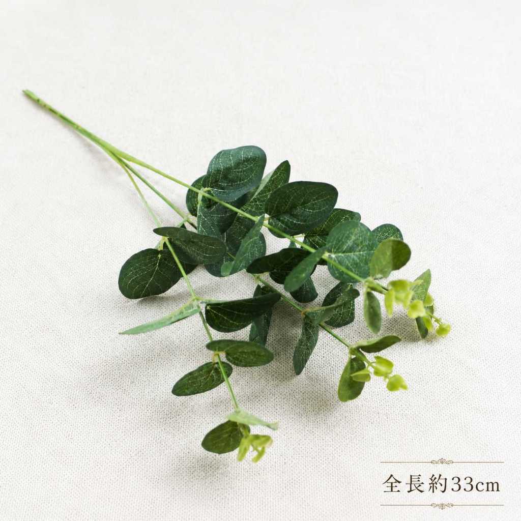 4叉絹葉小尤加利