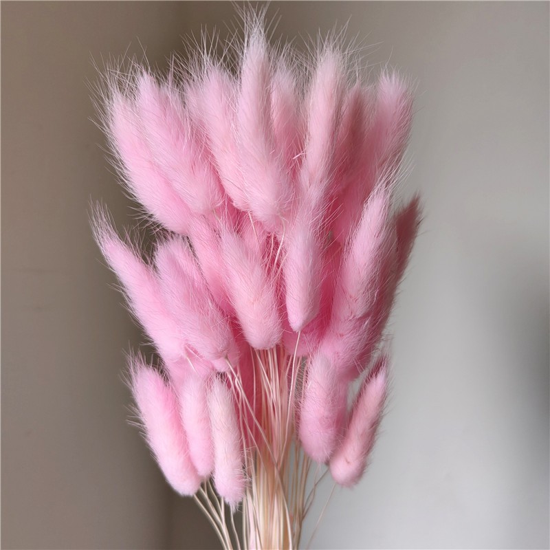 亮粉,1 支