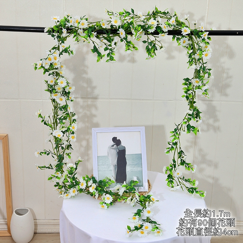 小雛菊藤蔓❰白❱