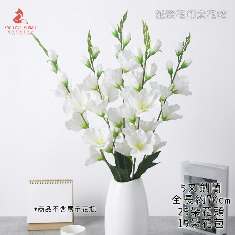 白色5叉劍蘭