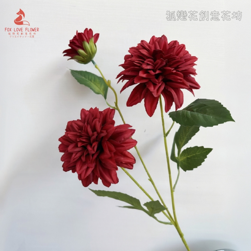 紅色3頭大麗花