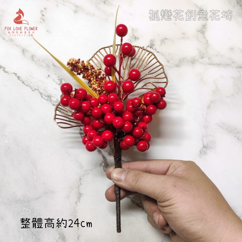 24cm紅果高粱
