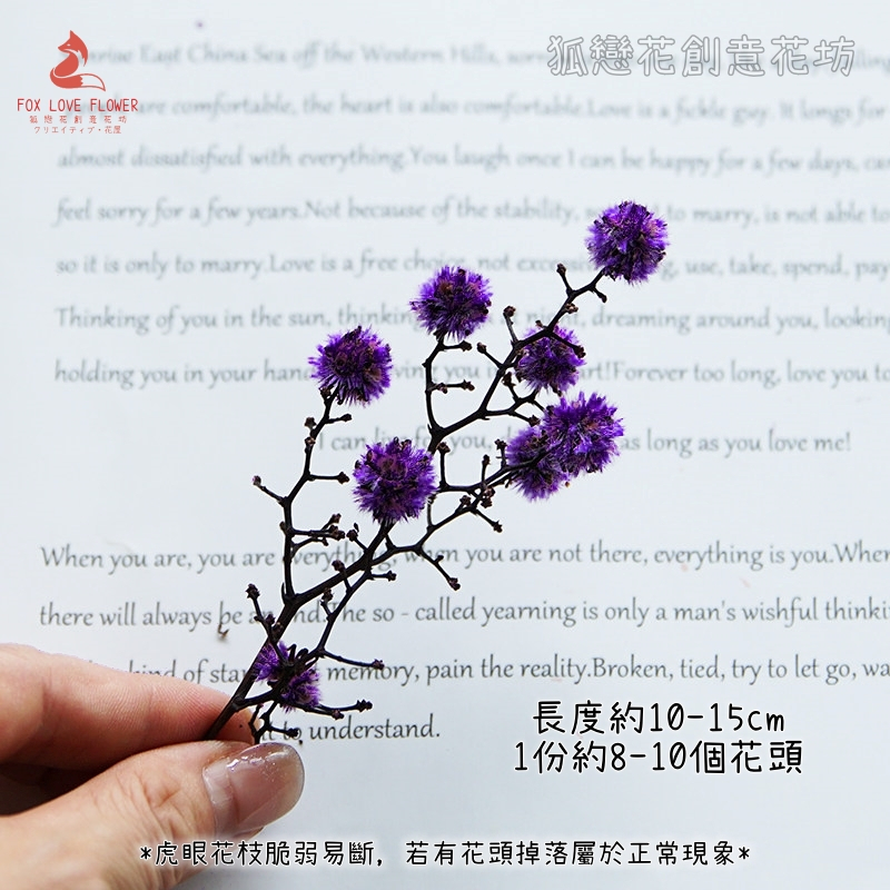 ❰深紫❱虎眼枝(1份約8-10顆花頭),🦊~賣場商品眾多，歡迎參觀選購~🦊