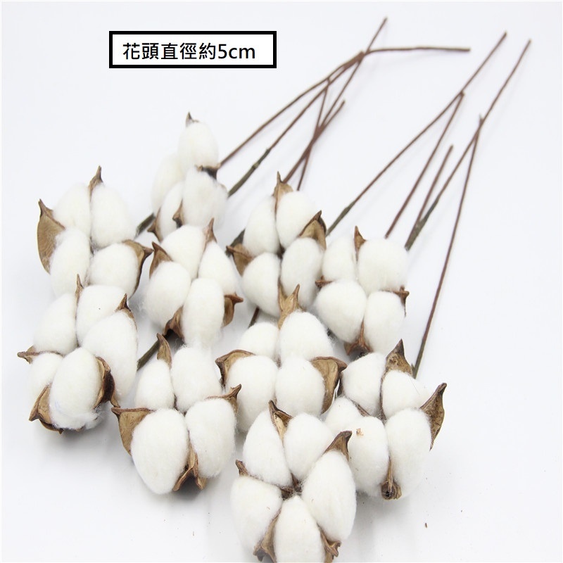 ❰白❱帶桿棉花3枝,🦊~賣場商品眾多，歡迎參觀選購~🦊