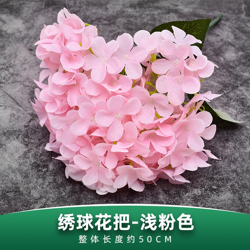 五叉大葉繡球花（淺粉色）